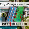 Priligy Dosage Instructions new03